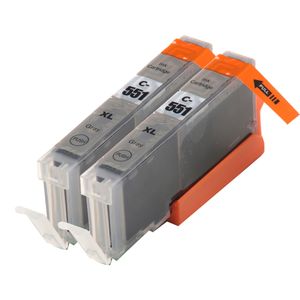 Cartouches d’encre compatibles Canon CLI-551XL – gris, haute capacité, lot de 2